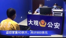 安庆新闻爆料,最新爆料揭示城市动态与民生关注